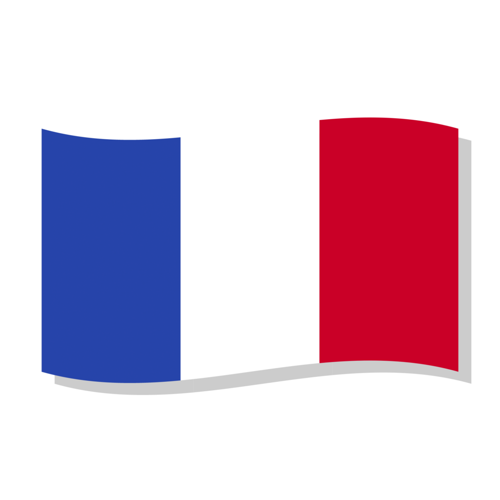 French Translation Services